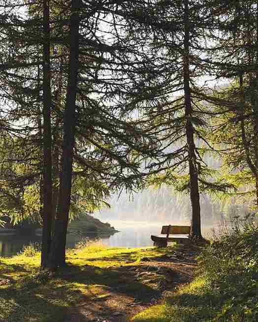 Paisaje natural con luz suave y ambiente calmado